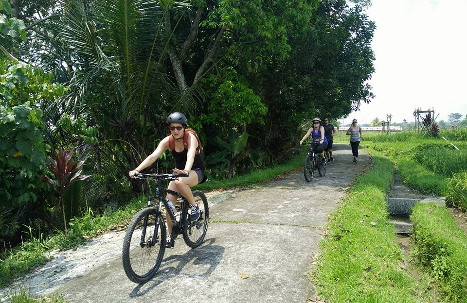 the rice field cycling track - the bali channel