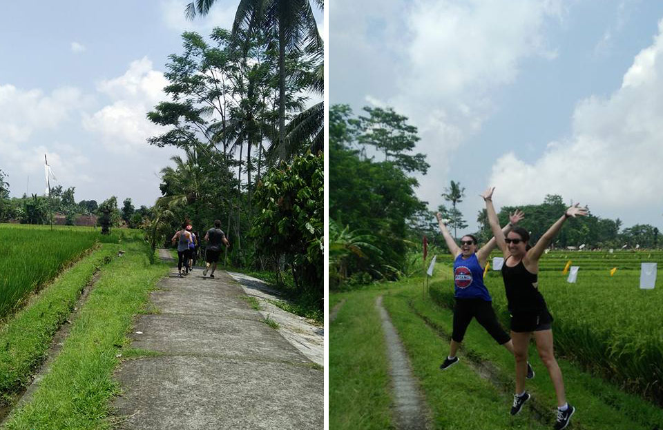 ubud rice field trekking - the bali channel