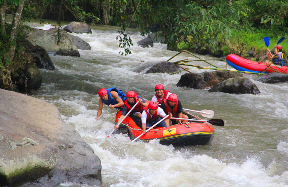 ubud white water rafting - the bali channel