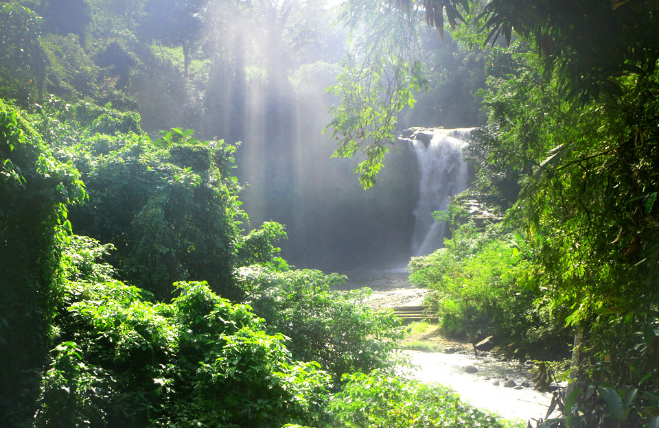 waterfall tegenungan ubud - the bali channel
