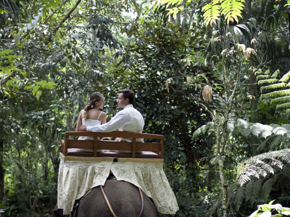 bali wedding elephant park lodge ubud - bali