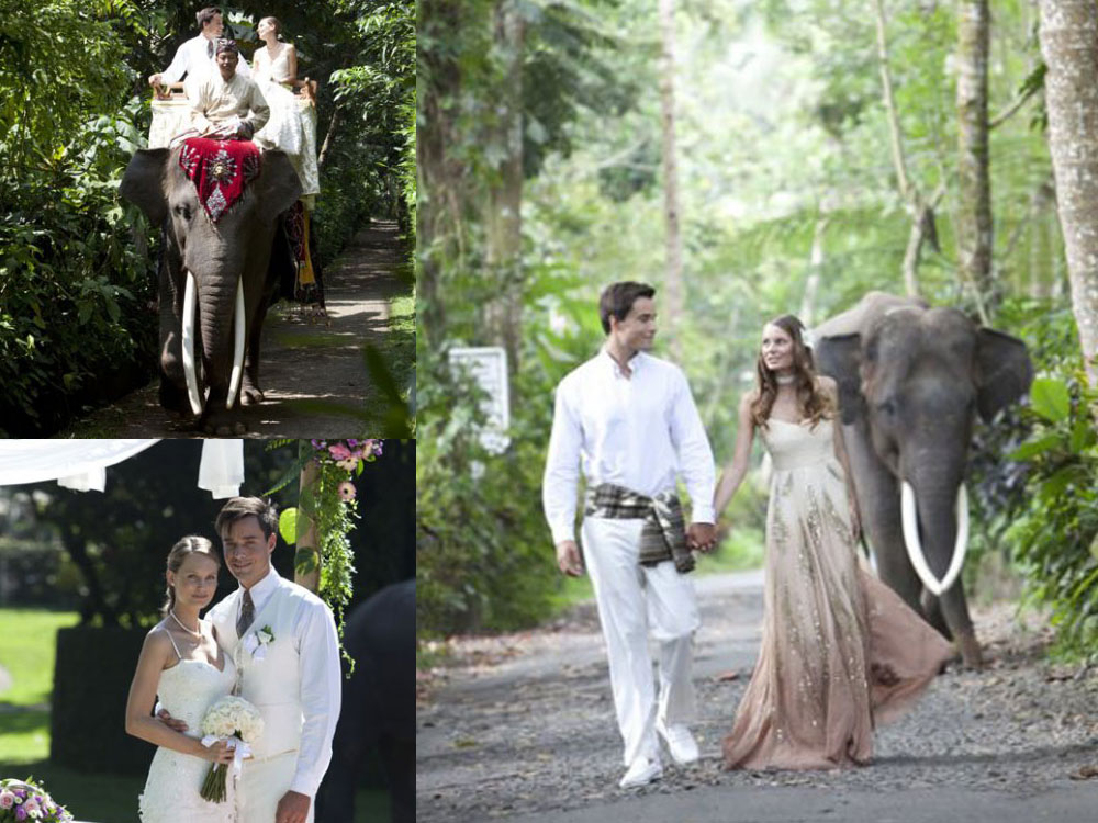 bali wedding elephant park lodge ubud - bali