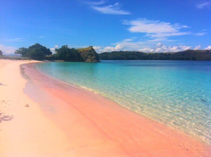pink beach - komodo island